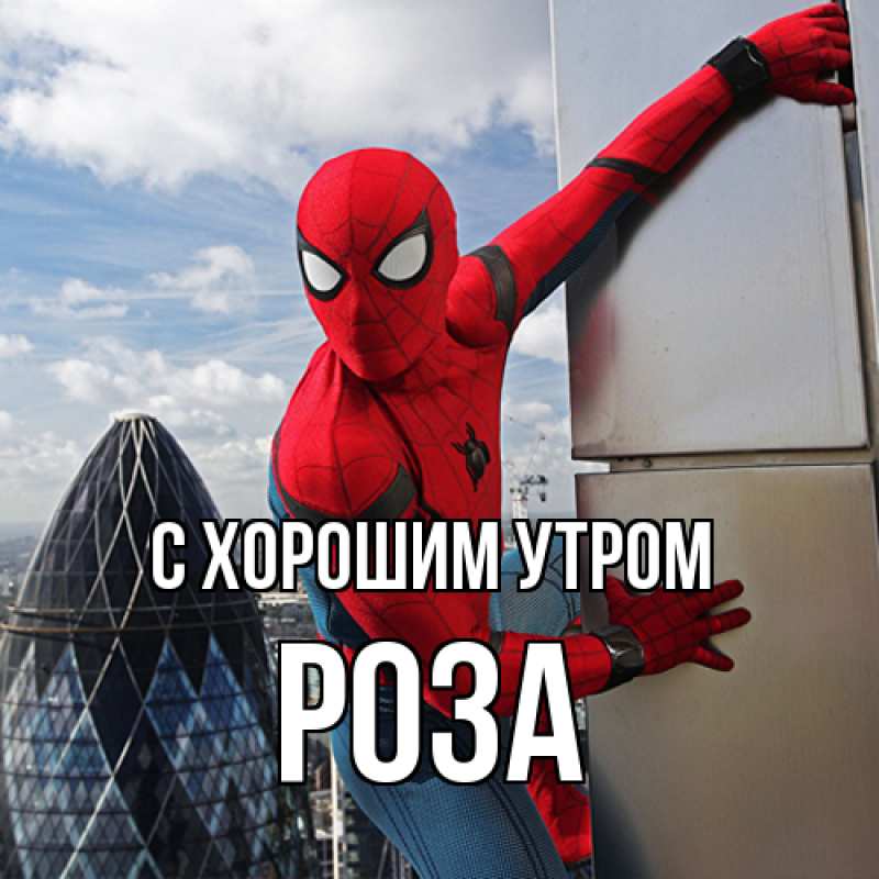 Картинка С хорошим утром, Роза