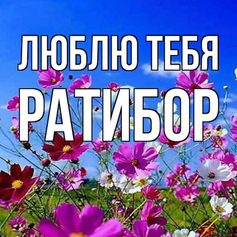 Картинка Люблю тебя, Ратибор
