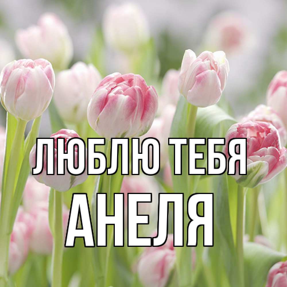 Открытка на каждый день с именем, Анеля Люблю тебя цветы Прикольная открытка с пожеланием онлайн скачать бесплатно 