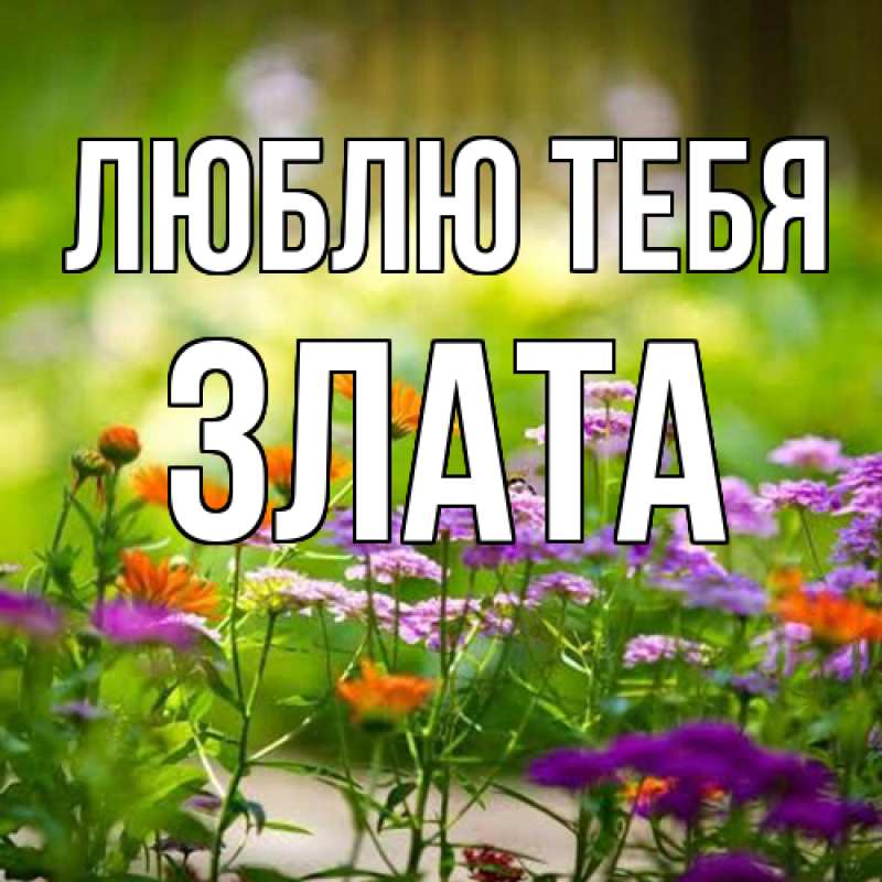 Открытка с именем, Злата, Люблю тебя