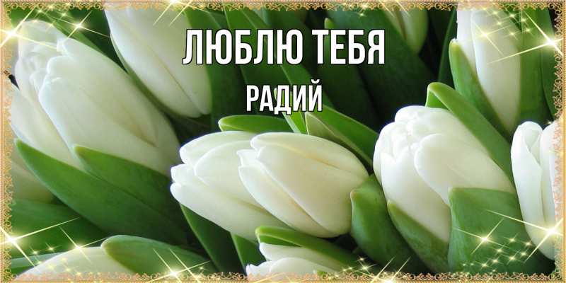 Картинка Люблю тебя, Радий