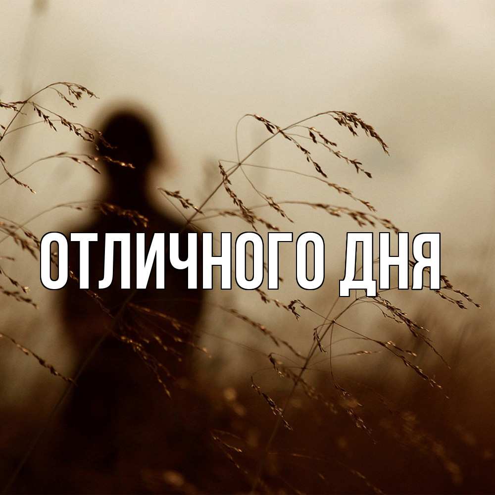 Открытка на каждый день с именем, Леся Скучашки силуэт девушки Прикольная открытка с пожеланием онлайн скачать бесплатно 