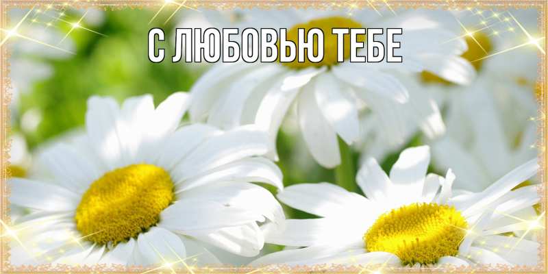 Картинка Люблю тебя, Аза