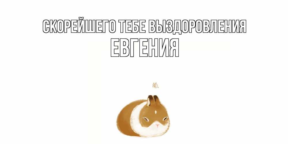 Открытка на каждый день с именем, Евгения Скорейшего тебе выздоровления морская свинка на открытке с пожеланиями не болеть Прикольная открытка с пожеланием онлайн скачать бесплатно 