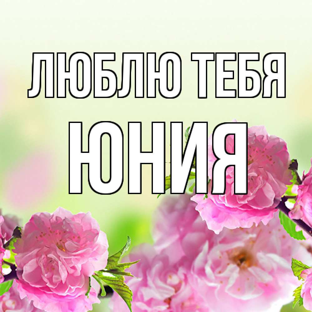 Открытка на каждый день с именем, Юния Люблю тебя цветы Прикольная открытка с пожеланием онлайн скачать бесплатно 