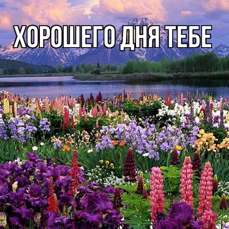 Открытка с именем, Памела, Люблю тебя