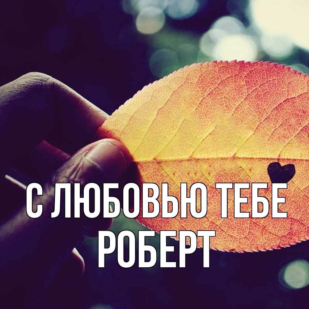 Открытка на каждый день с именем, Роберт С любовью тебе держу лист Прикольная открытка с пожеланием онлайн скачать бесплатно 