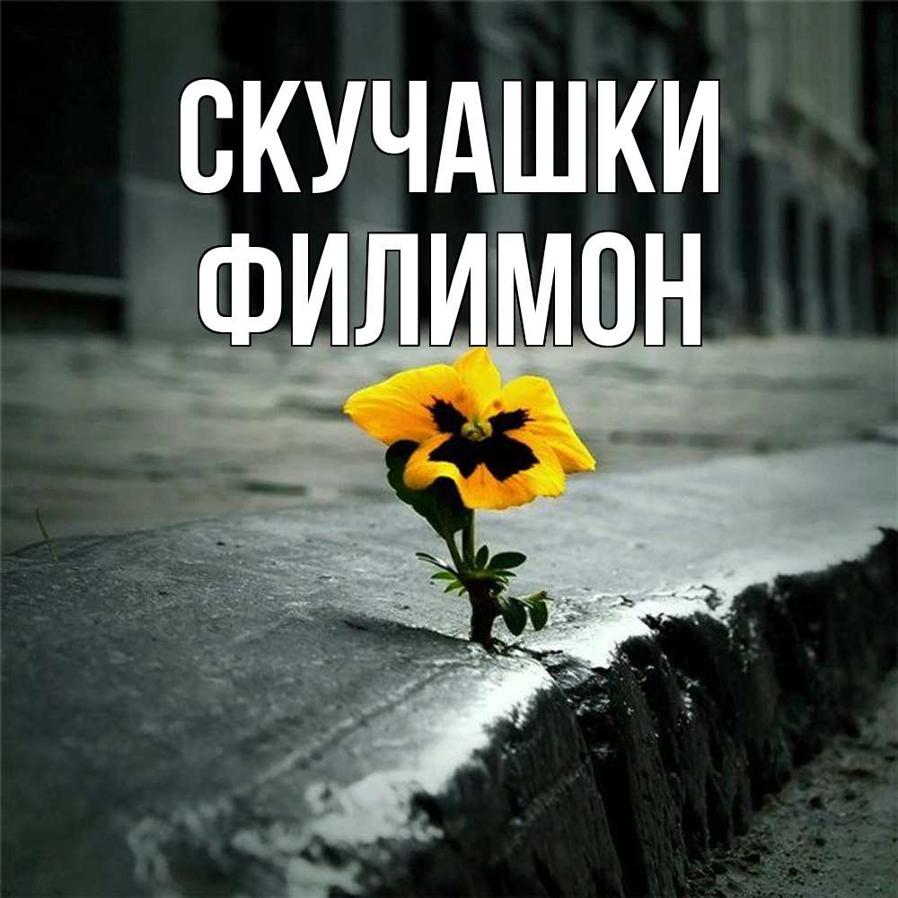 Открытка на каждый день с именем, Филимон Скучашки надеюсь будет лучше Прикольная открытка с пожеланием онлайн скачать бесплатно 