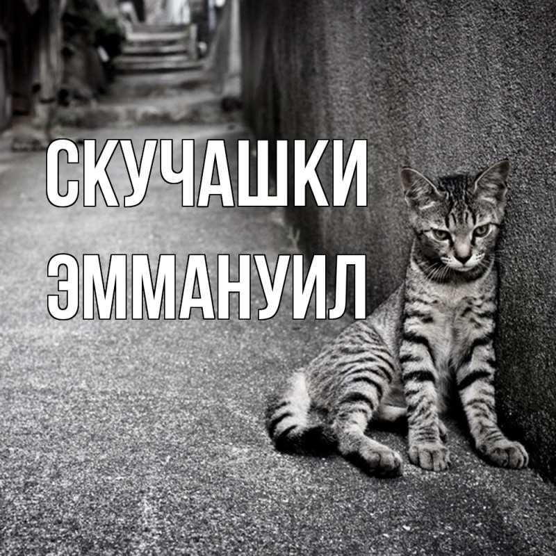Картинка Скучашки, Эммануил