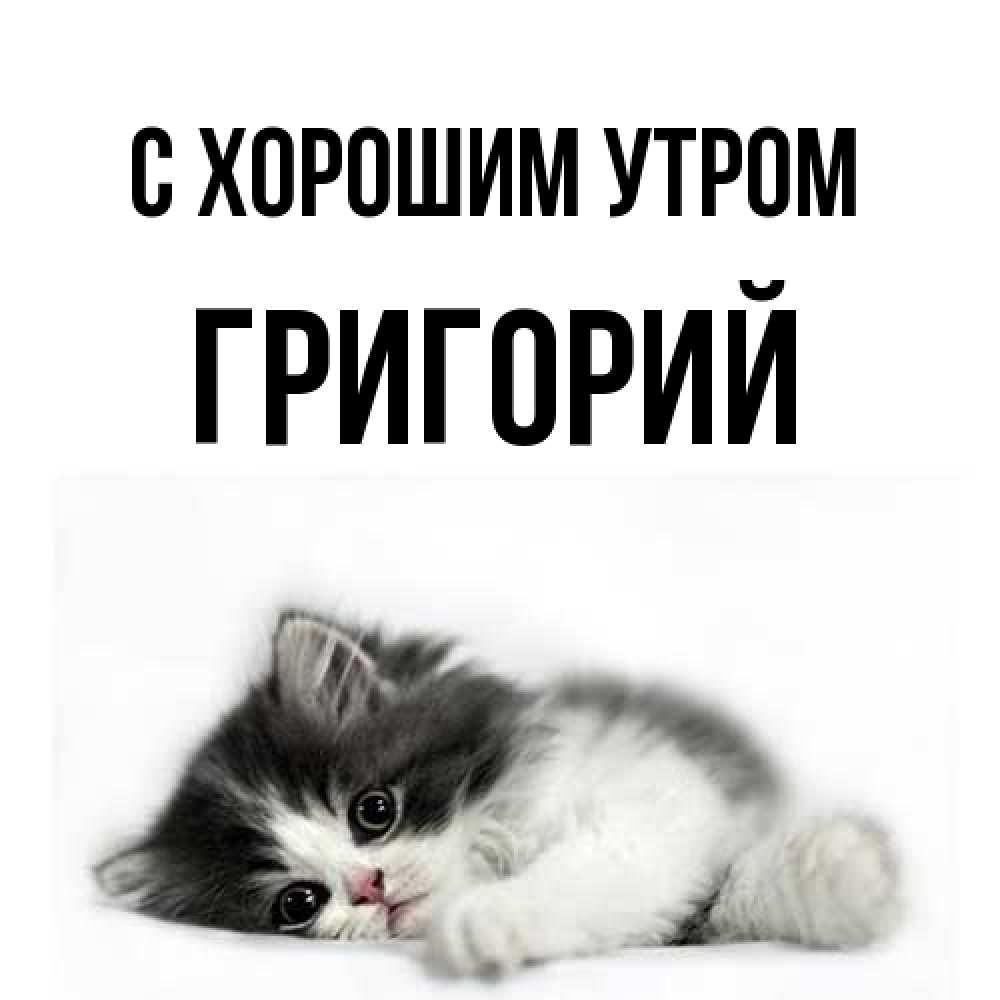 Открытка на каждый день с именем, Григорий С хорошим утром кот лапки Прикольная открытка с пожеланием онлайн скачать бесплатно 