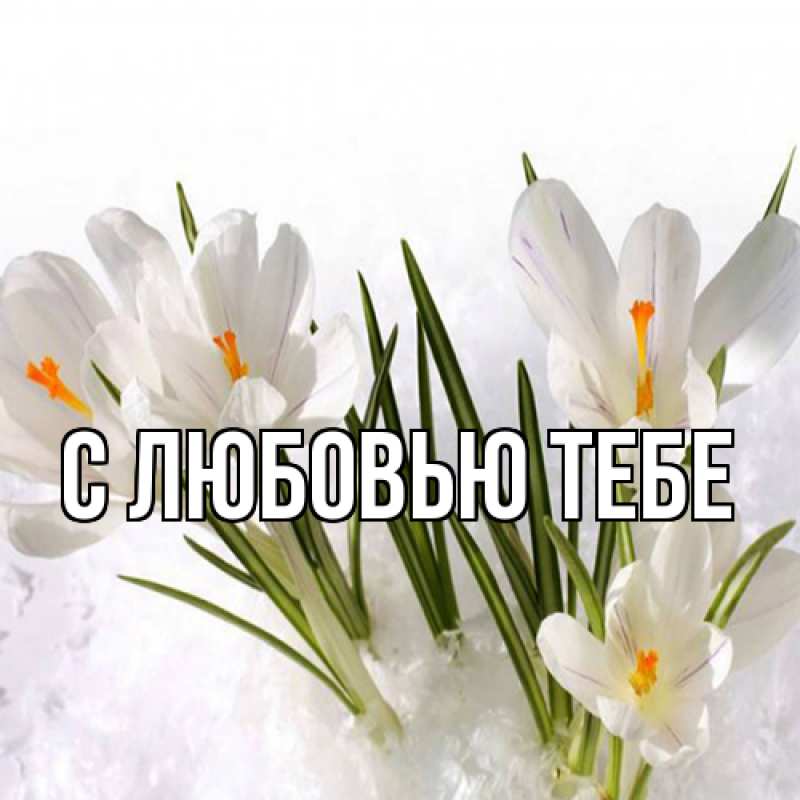 Картинка Люблю тебя, Жан