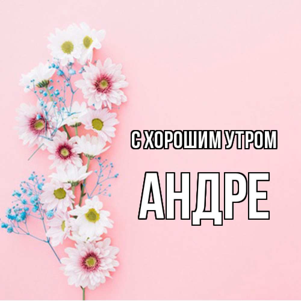 Открытка на каждый день с именем, Андре С хорошим утром цветы с подписью Прикольная открытка с пожеланием онлайн скачать бесплатно 