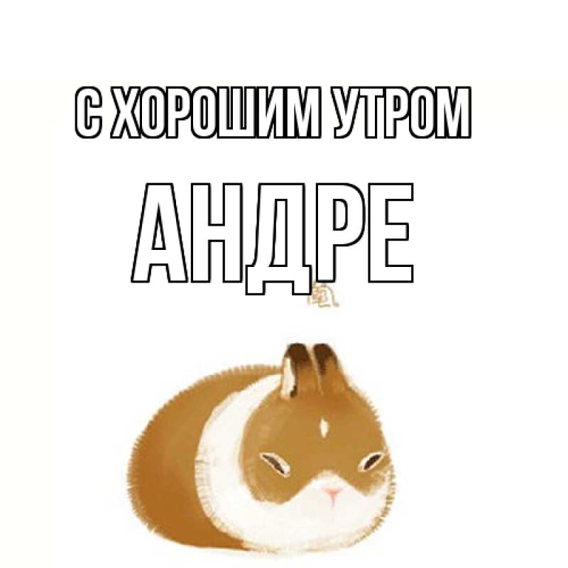 Картинка С хорошим утром, Андре