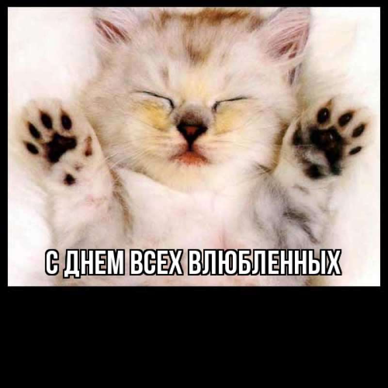 Картинка Большое спасибо, Шакира