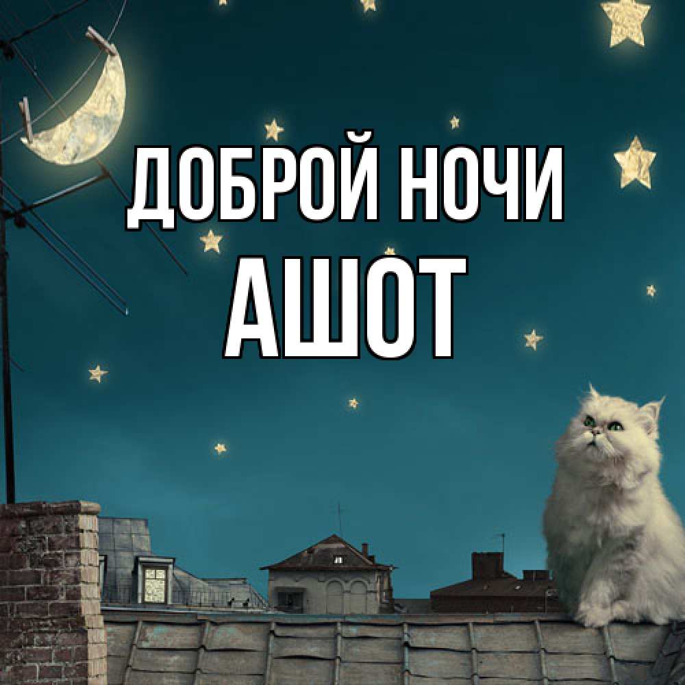 Открытка на каждый день с именем, Ашот Доброй ночи белый кот сидит на крыше Прикольная открытка с пожеланием онлайн скачать бесплатно 