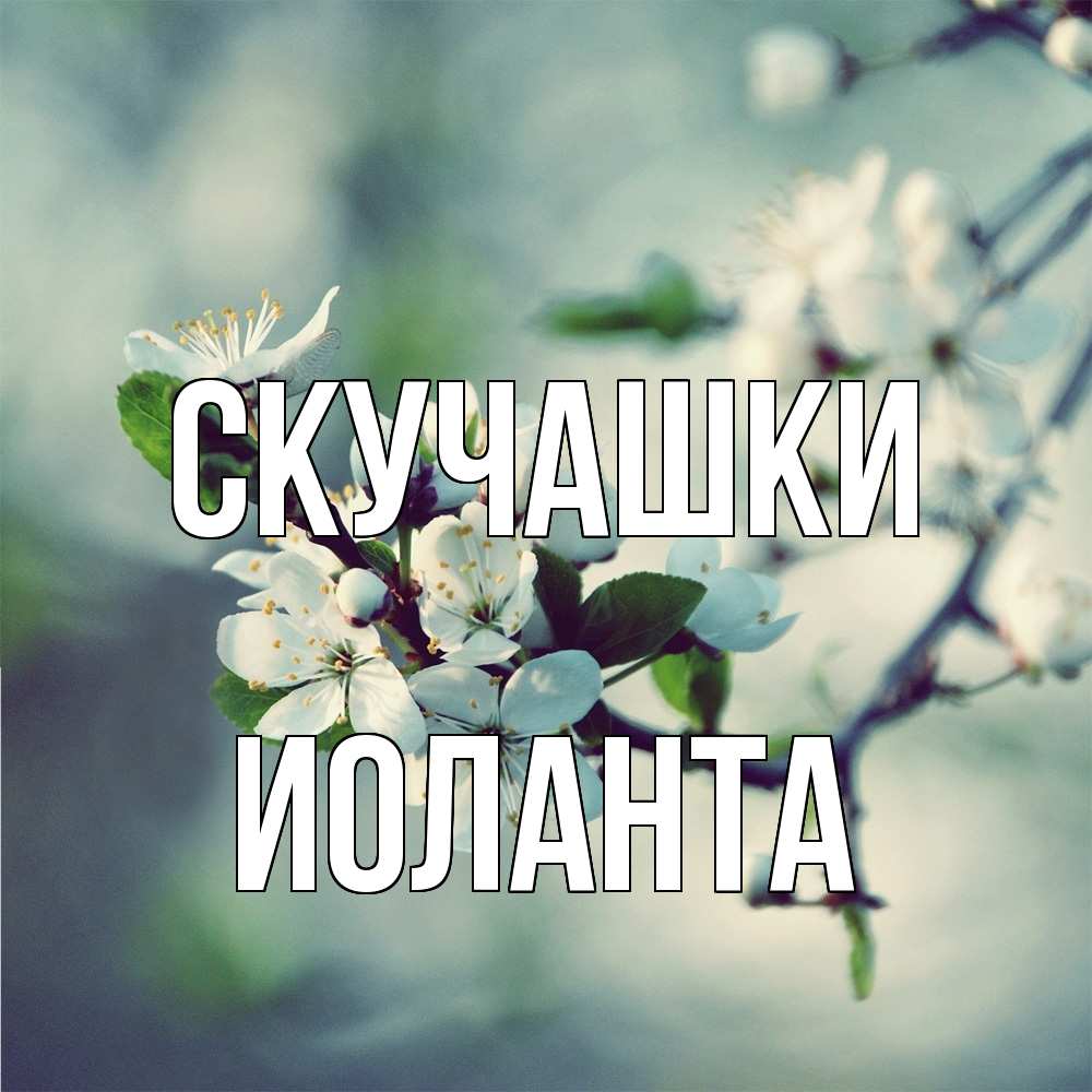 Открытка на каждый день с именем, Иоланта Скучашки весна Прикольная открытка с пожеланием онлайн скачать бесплатно 