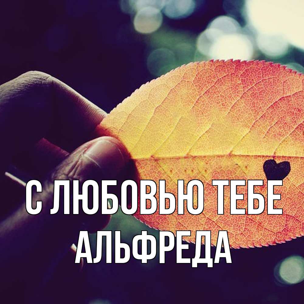 Открытка на каждый день с именем, Альфреда С любовью тебе держу лист Прикольная открытка с пожеланием онлайн скачать бесплатно 