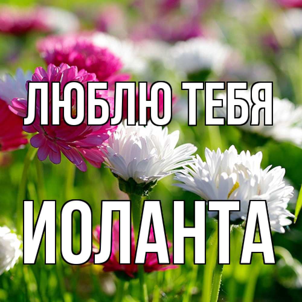 Открытка на каждый день с именем, Иоланта Люблю тебя международный женский день 1 Прикольная открытка с пожеланием онлайн скачать бесплатно 