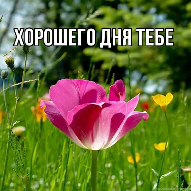 Картинка Люблю тебя, Измаил