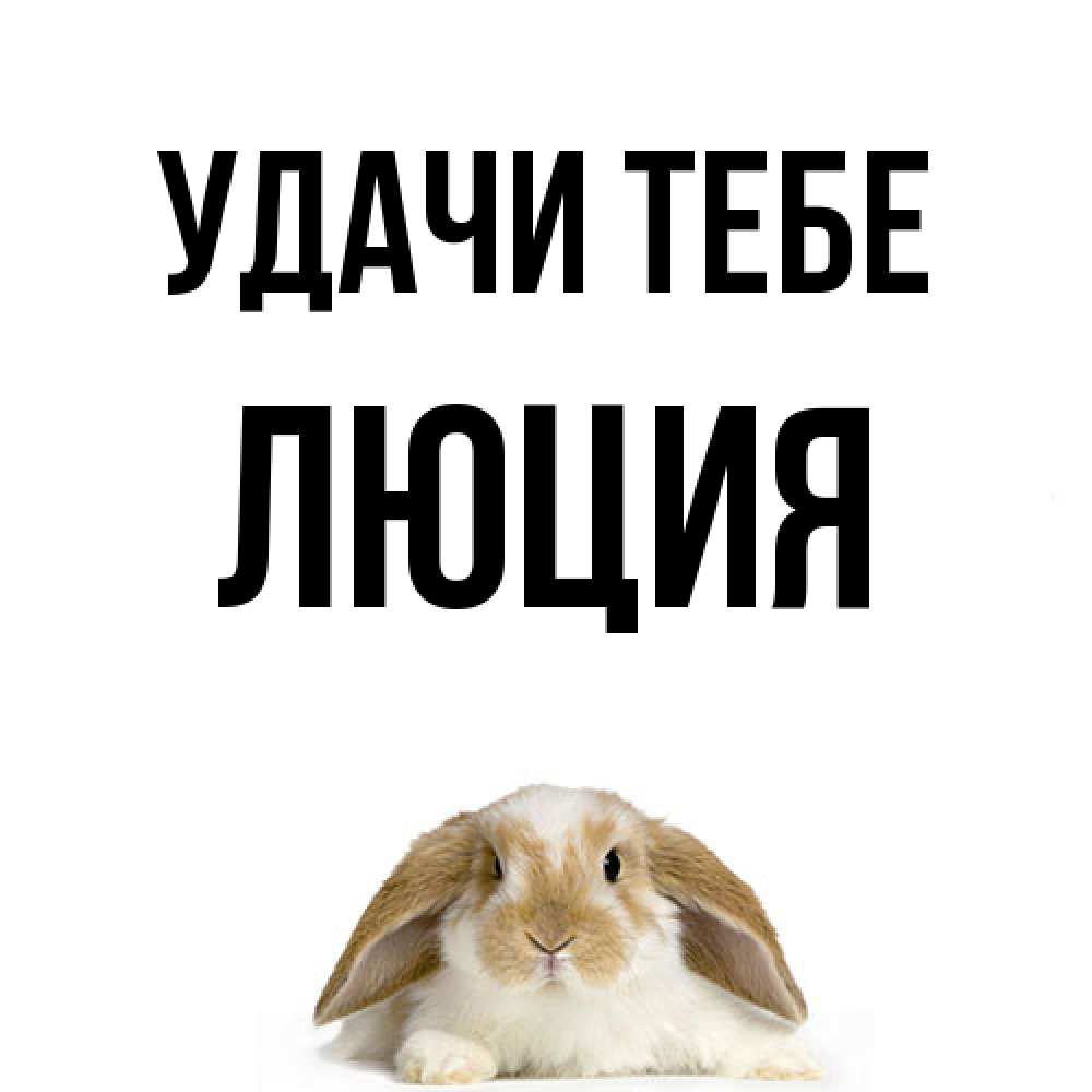 Открытка на каждый день с именем, Люция Удачи тебе открытки с произвольным текстом который можно вставить в открытку и создать ее самостоятельно бесплатно онлайн Прикольная открытка с пожеланием онлайн скачать бесплатно 