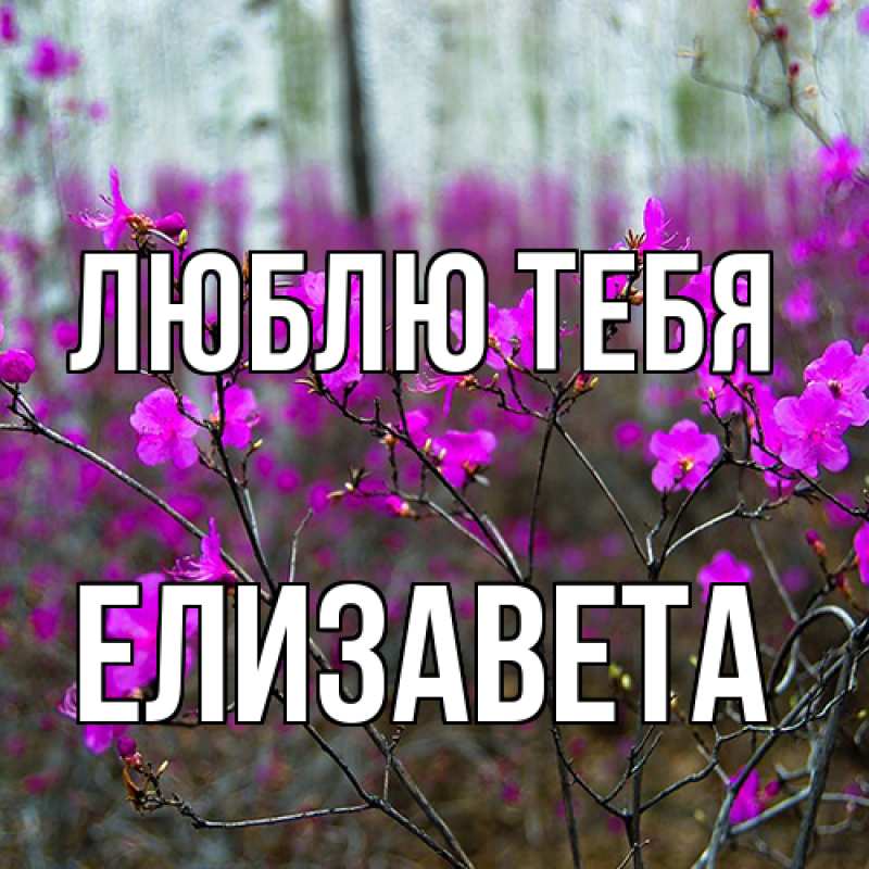 Открытка с именем, Елизавета, Люблю тебя