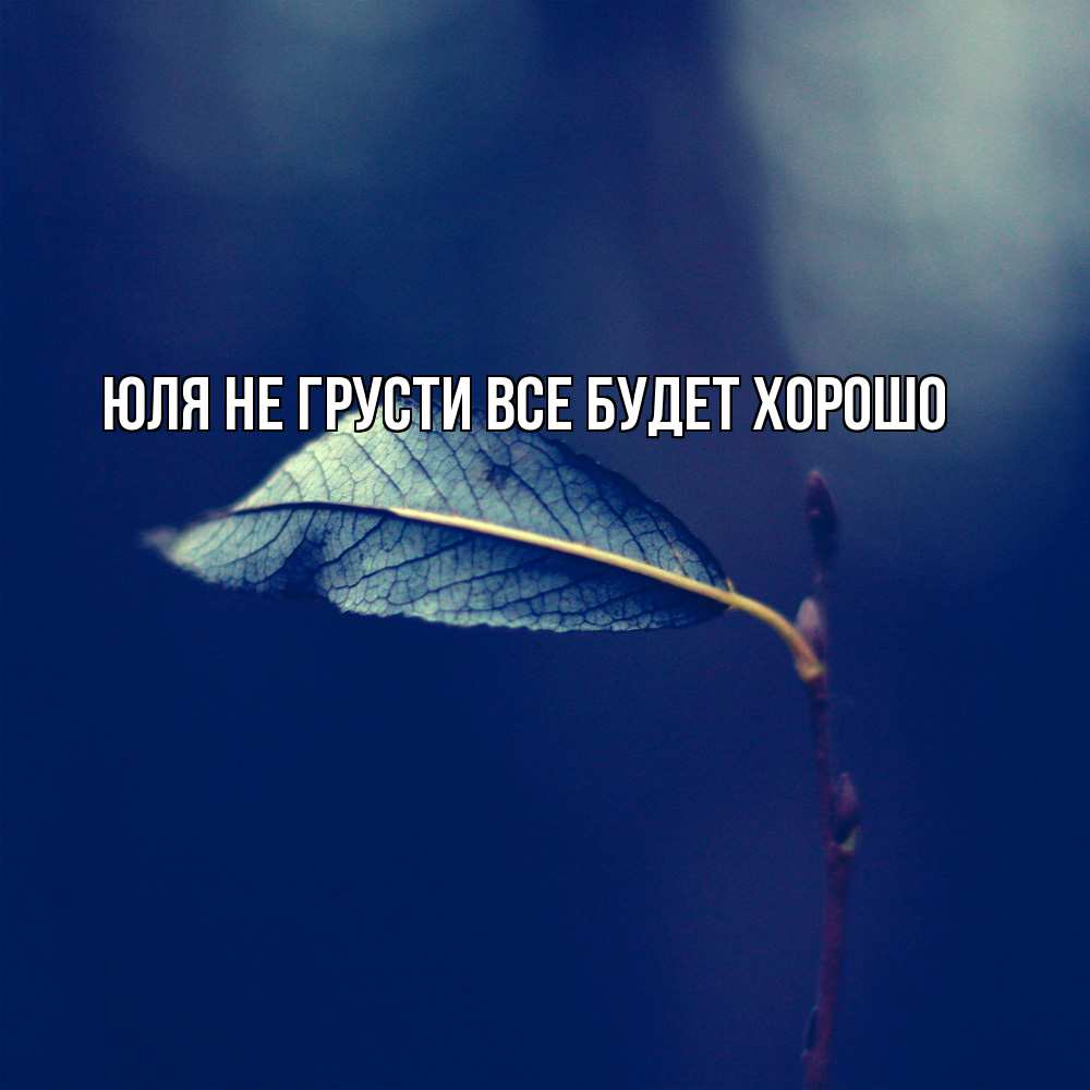 Открытка на каждый день с именем, Юля Не грусти все будет хорошо растение Прикольная открытка с пожеланием онлайн скачать бесплатно 