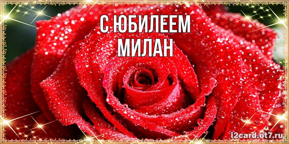 Открытка на каждый день с именем, Милан C юбилеем роса и роза. открытка с красивой розой Прикольная открытка с пожеланием онлайн скачать бесплатно 