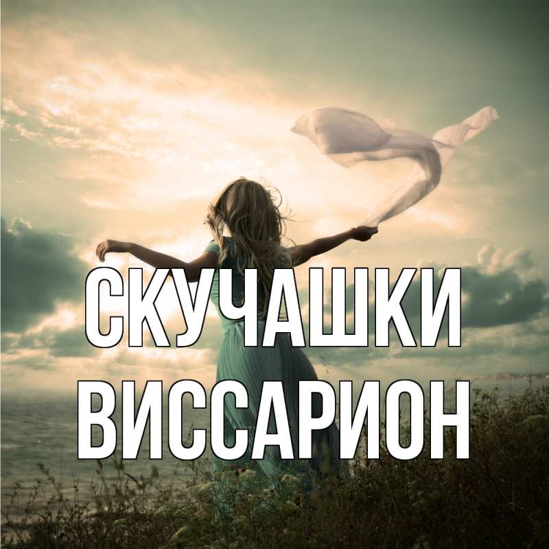 Картинка Скучашки, Виссарион
