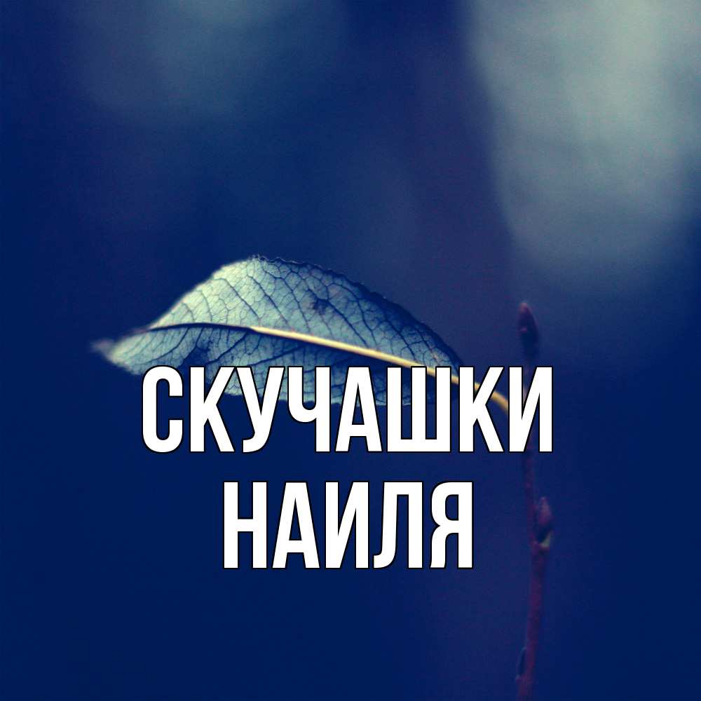 Открытка на каждый день с именем, Наиля Скучашки одна ветка 1 Прикольная открытка с пожеланием онлайн скачать бесплатно 