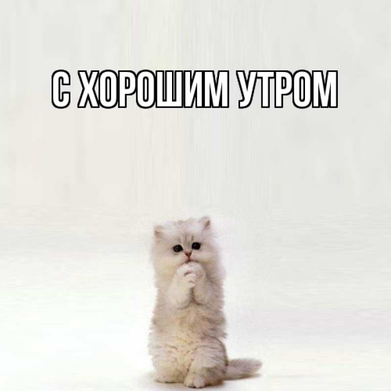 Картинка Обнимашки, Тамаз