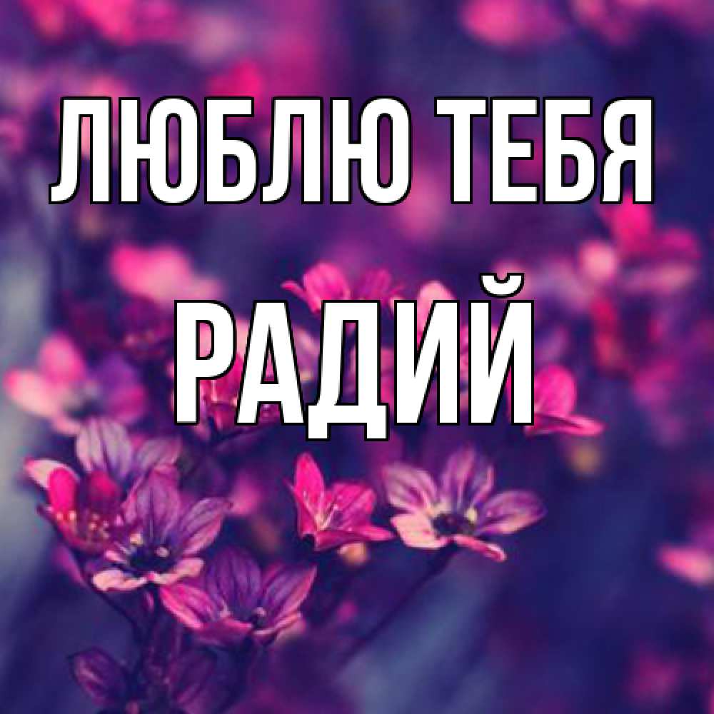 Открытка на каждый день с именем, Радий Люблю тебя небольшие цветы 1 Прикольная открытка с пожеланием онлайн скачать бесплатно 