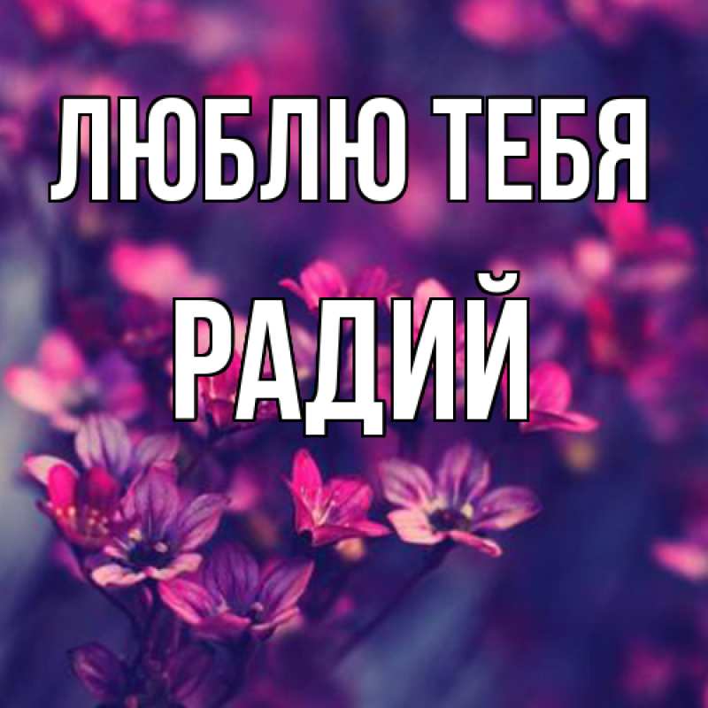 Картинка Люблю тебя, Радий