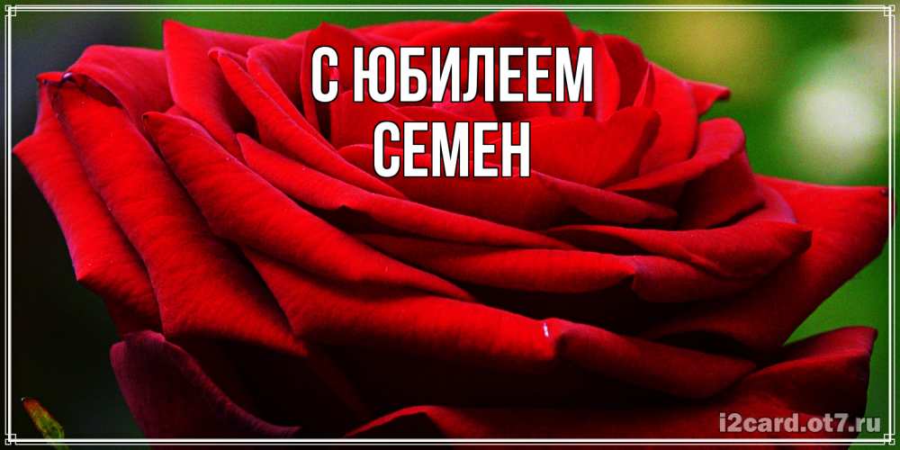 Открытка на каждый день с именем, Семен C юбилеем розочка очень красивая Прикольная открытка с пожеланием онлайн скачать бесплатно 