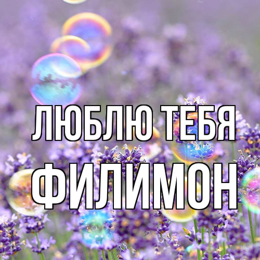 Открытка на каждый день с именем, Филимон Люблю тебя цветы Прикольная открытка с пожеланием онлайн скачать бесплатно 