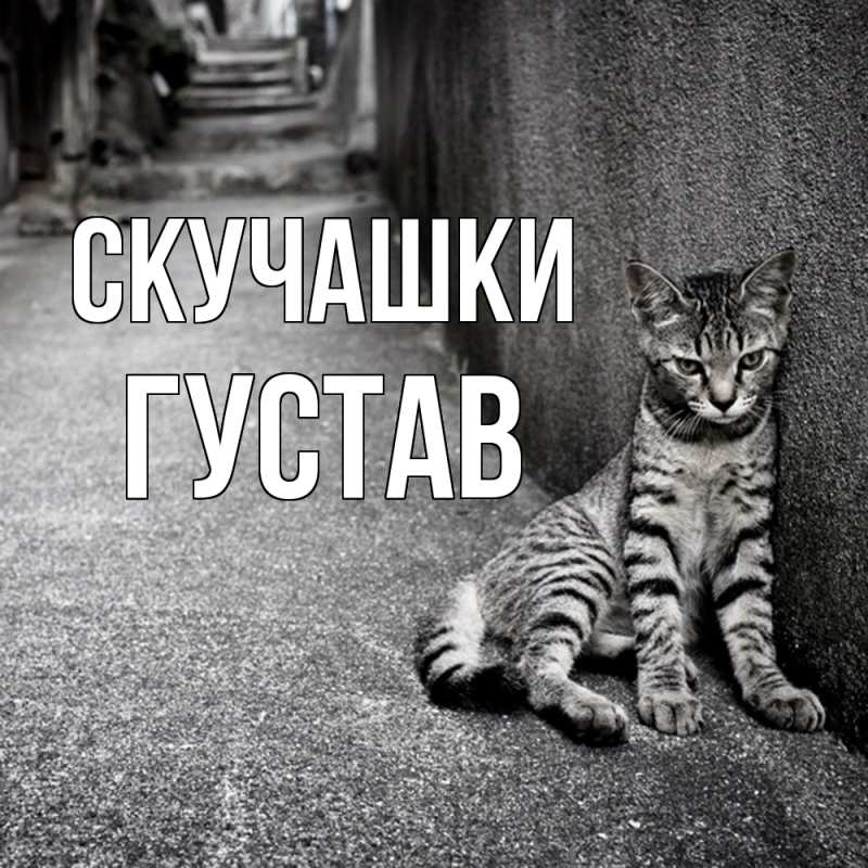 Картинка Скучашки, Густав