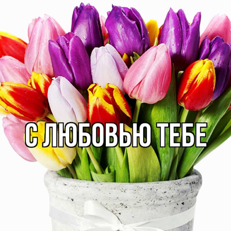 Картинка Люблю тебя, Аза