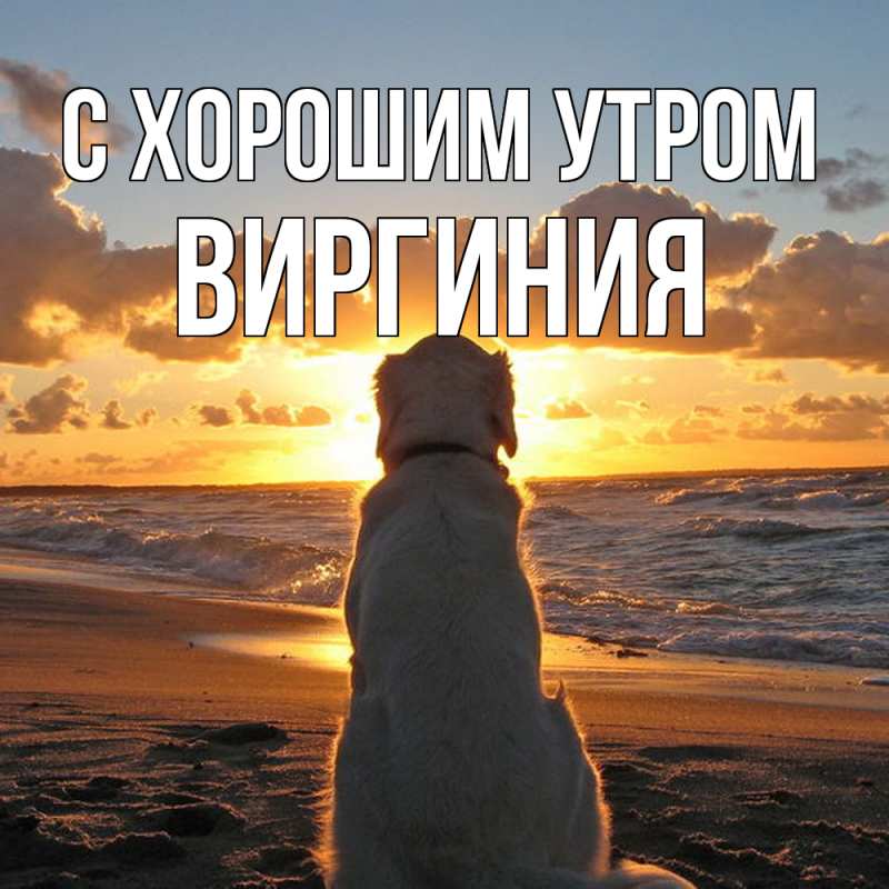 Открытка с именем, Виргиния, С хорошим утром