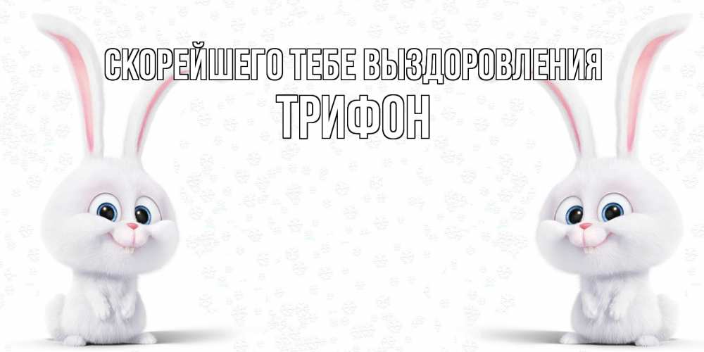 Открытка на каждый день с именем, Трифон Скорейшего тебе выздоровления не болей с зайцем Прикольная открытка с пожеланием онлайн скачать бесплатно 