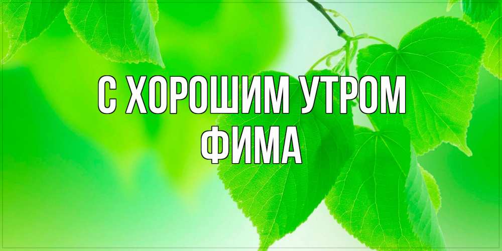 Открытка на каждый день с именем, Фима С хорошим утром доброе утро с березовыми листьями Прикольная открытка с пожеланием онлайн скачать бесплатно 