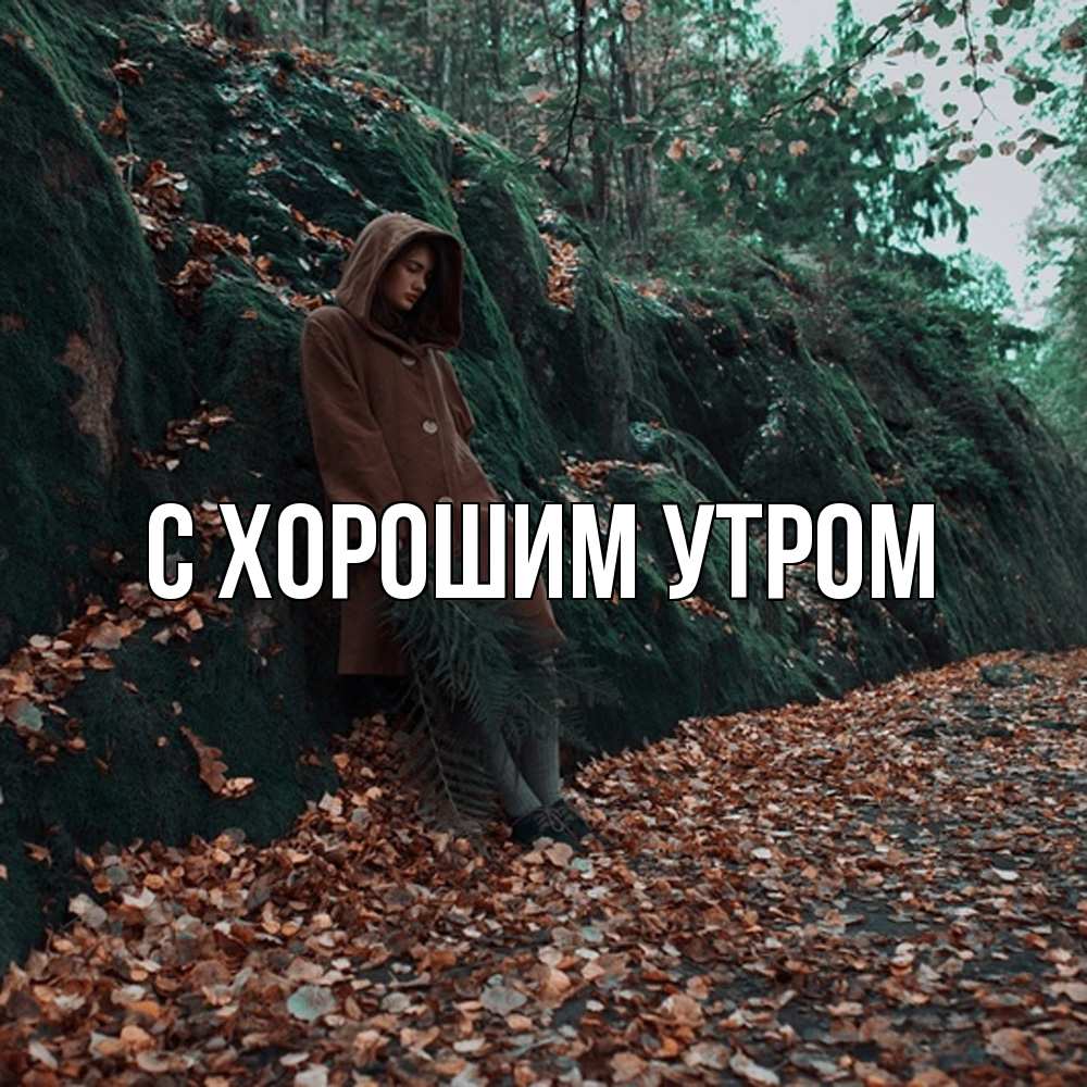 Открытка на каждый день с именем, Трифон Скучашки скука 1 Прикольная открытка с пожеланием онлайн скачать бесплатно 