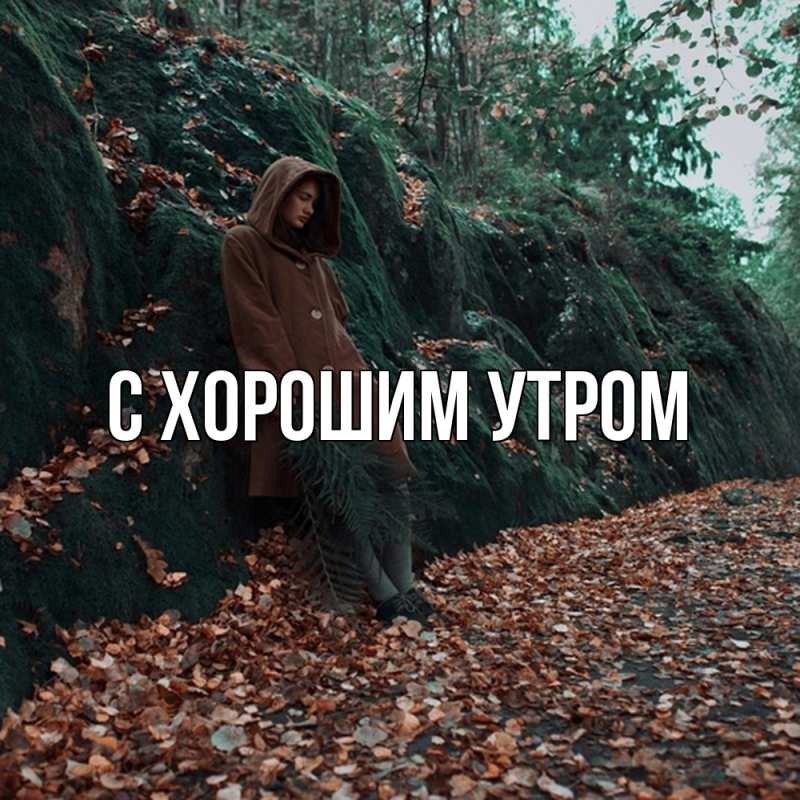 Картинка Скучашки, Трифон