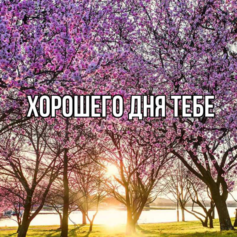 Открытка с именем, Родной, Люблю тебя