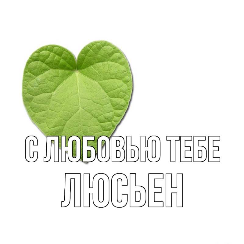 Картинка С любовью тебе, Люсьен