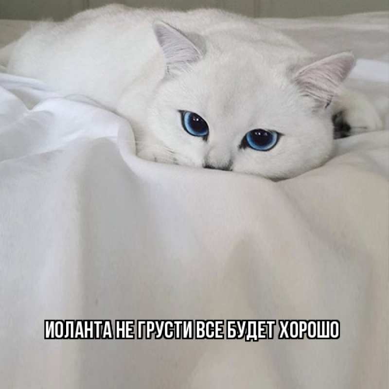 Картинка Не грусти, все будет хорошо, Иоланта