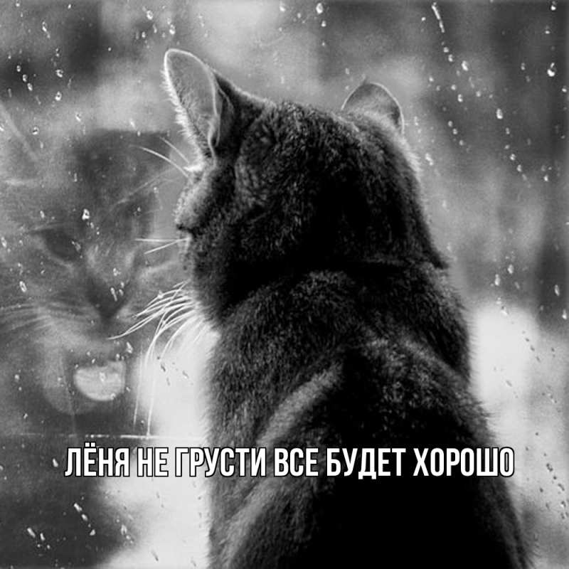 Картинка Не грусти, все будет хорошо, Лёня