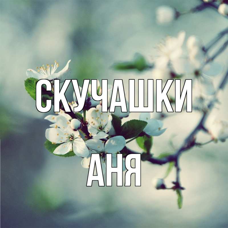 Картинка Скучашки, Аня