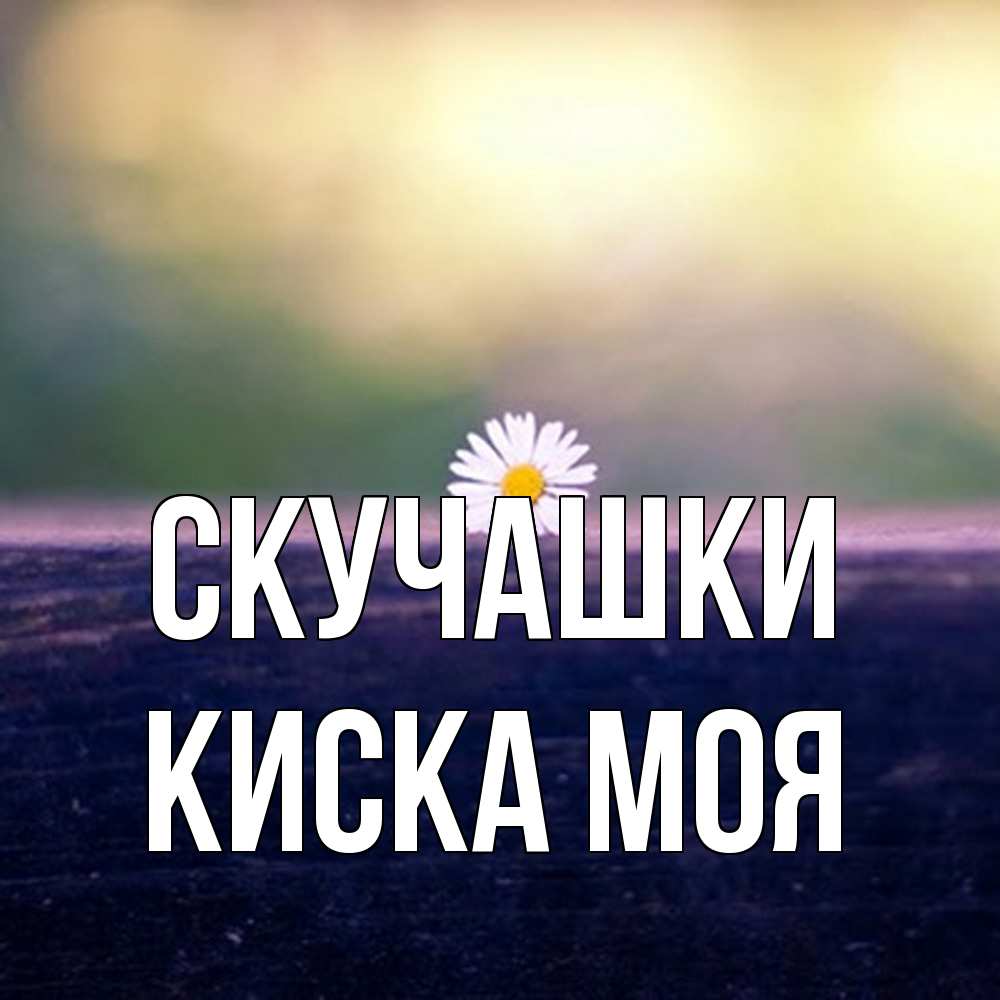 Открытка на каждый день с именем, Киска-моя Скучашки приходи в гости Прикольная открытка с пожеланием онлайн скачать бесплатно 