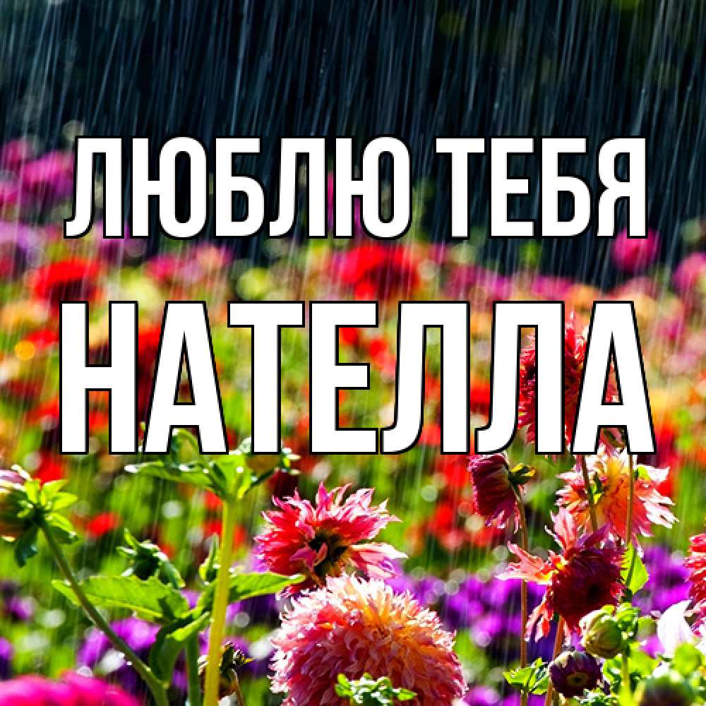 Открытка на каждый день с именем, Нателла Люблю тебя цветы под дождиком к международному женскому дню Прикольная открытка с пожеланием онлайн скачать бесплатно 