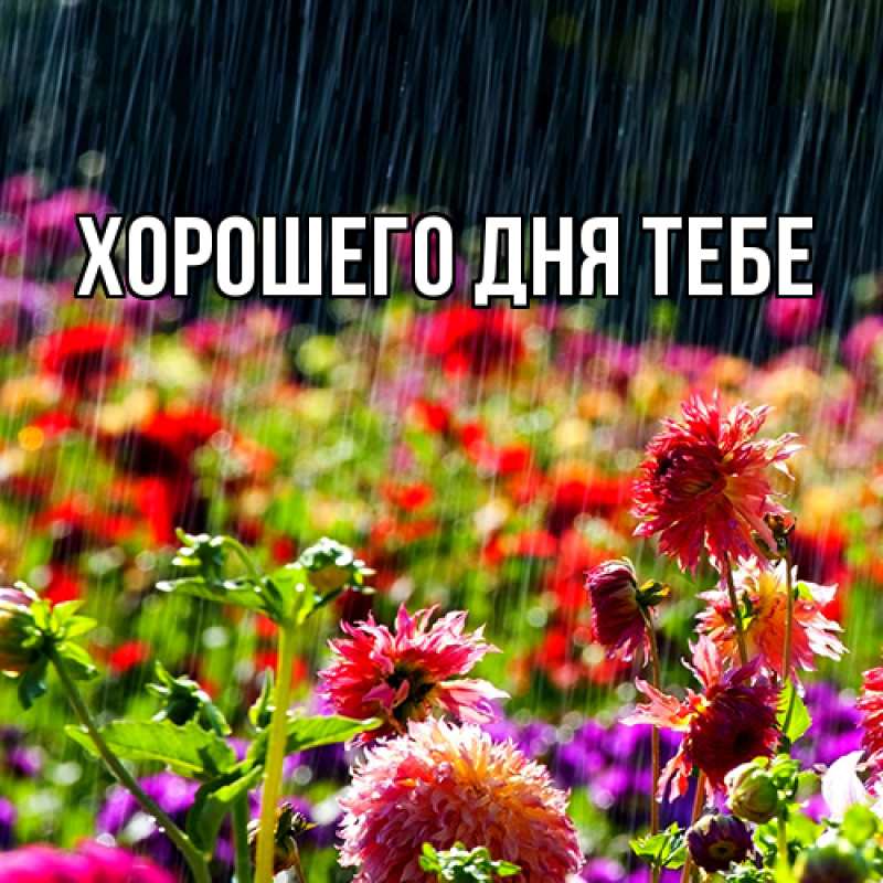 Картинка Люблю тебя, Измаил