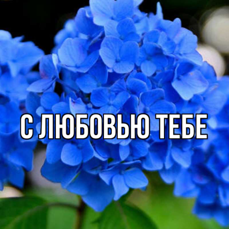 Картинка Люблю тебя, Жан